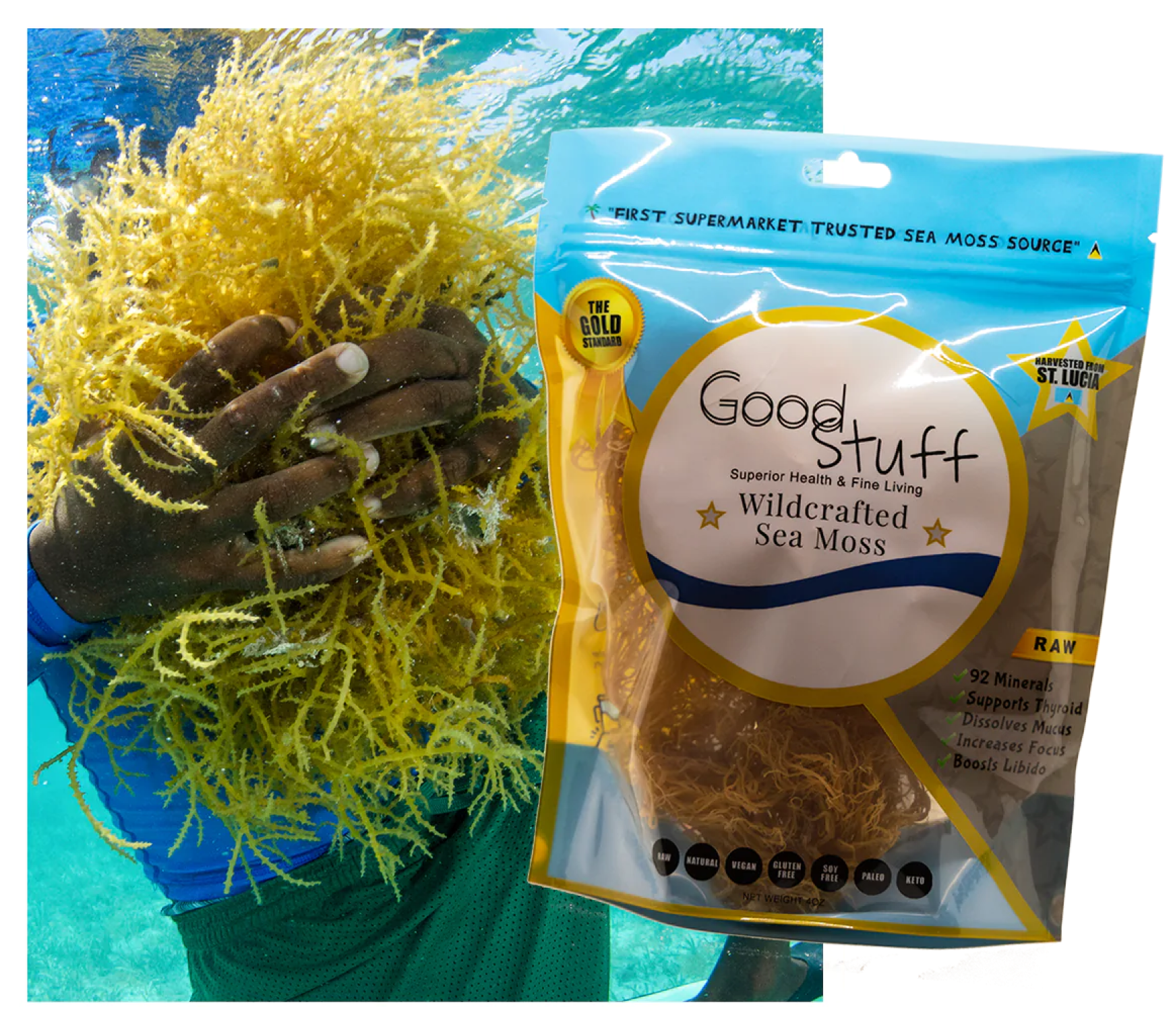 What Is Sea Moss?