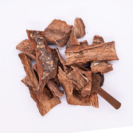 Cuachalalate
