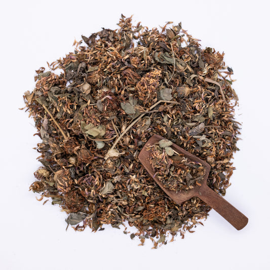 Red Clover Leaf & Flower